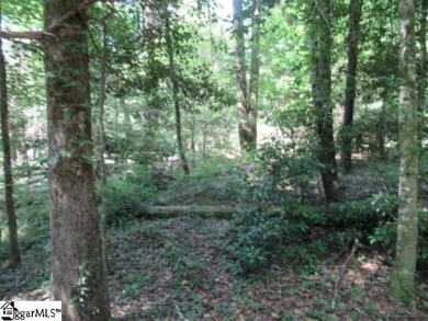 Nice building lot right on the 10th fairway at The Rock at on The Rock At Jocassee in South Carolina - for sale on GolfHomes.com, golf home, golf lot