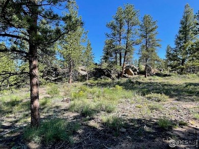 LOT 87 Welcome to a premium building lot nestled up against a on Fox Acres Country Club in Colorado - for sale on GolfHomes.com, golf home, golf lot