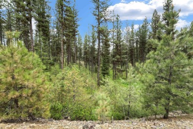 Lot 6 can be accessed from Van Dorn Dr. A very nice wooded lot on Meadowcreek Golf Resort in Idaho - for sale on GolfHomes.com, golf home, golf lot