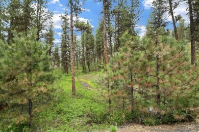 Lot 6 can be accessed from Van Dorn Dr. A very nice wooded lot on Meadowcreek Golf Resort in Idaho - for sale on GolfHomes.com, golf home, golf lot
