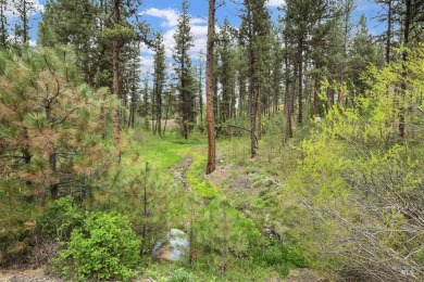 Lot 6 can be accessed from Van Dorn Dr. A very nice wooded lot on Meadowcreek Golf Resort in Idaho - for sale on GolfHomes.com, golf home, golf lot
