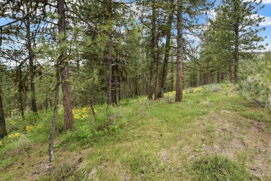 Lot 6 can be accessed from Van Dorn Dr. A very nice wooded lot on Meadowcreek Golf Resort in Idaho - for sale on GolfHomes.com, golf home, golf lot