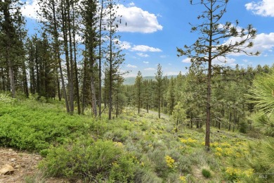 Lot 6 can be accessed from Van Dorn Dr. A very nice wooded lot on Meadowcreek Golf Resort in Idaho - for sale on GolfHomes.com, golf home, golf lot