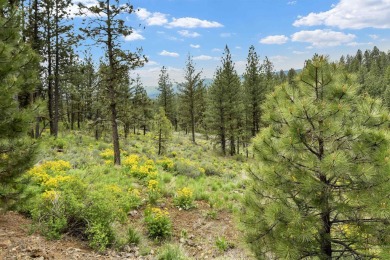 Lot 6 can be accessed from Van Dorn Dr. A very nice wooded lot on Meadowcreek Golf Resort in Idaho - for sale on GolfHomes.com, golf home, golf lot
