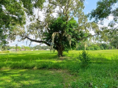 Rarest of opportunities! Estate on two private acres in the on The Meadows Golf and Country Club in Florida - for sale on GolfHomes.com, golf home, golf lot