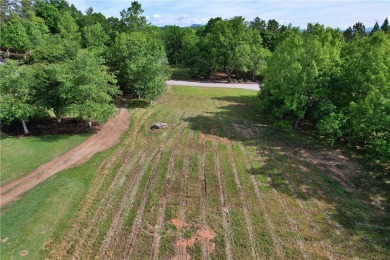 Welcome to 242 Long Cove Court!  This beautiful lot overlooks on The Cliffs At Keowee Vineyards Golf Club in South Carolina - for sale on GolfHomes.com, golf home, golf lot