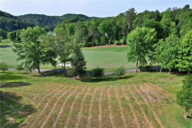 Welcome to 242 Long Cove Court!  This beautiful lot overlooks on The Cliffs At Keowee Vineyards Golf Club in South Carolina - for sale on GolfHomes.com, golf home, golf lot