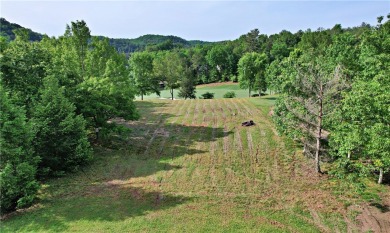 Welcome to 242 Long Cove Court!  This beautiful lot overlooks on The Cliffs At Keowee Vineyards Golf Club in South Carolina - for sale on GolfHomes.com, golf home, golf lot