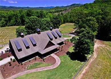 Welcome to 242 Long Cove Court!  This beautiful lot overlooks on The Cliffs At Keowee Vineyards Golf Club in South Carolina - for sale on GolfHomes.com, golf home, golf lot