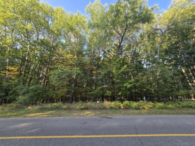 Prime Vacant Lot in Canadian Lakes, MI .The 18th tee box of the on Canadian Lakes Country Club-The Royal Course in Michigan - for sale on GolfHomes.com, golf home, golf lot