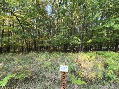 Prime Vacant Lot in Canadian Lakes, MI .The 18th tee box of the on Canadian Lakes Country Club-The Royal Course in Michigan - for sale on GolfHomes.com, golf home, golf lot