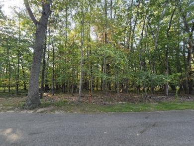 Prime Vacant Lot in Canadian Lakes, MI .The 18th tee box of the on Canadian Lakes Country Club-The Royal Course in Michigan - for sale on GolfHomes.com, golf home, golf lot