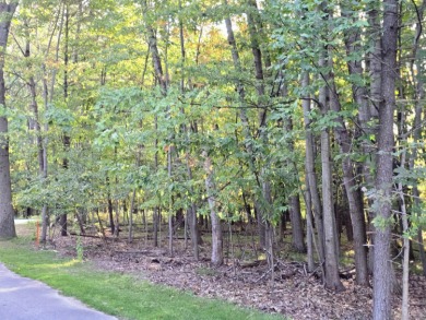 Prime Vacant Lot in Canadian Lakes, MI .The 18th tee box of the on Canadian Lakes Country Club-The Royal Course in Michigan - for sale on GolfHomes.com, golf home, golf lot