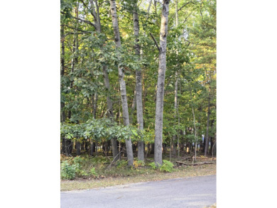 Prime Vacant Lot in Canadian Lakes, MI .The 18th tee box of the on Canadian Lakes Country Club-The Royal Course in Michigan - for sale on GolfHomes.com, golf home, golf lot