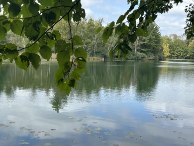 Waterfront Lot on Lake of the Clouds in Canadian Lakes!! on Canadian Lakes Country Club-The Highlands Course in Michigan - for sale on GolfHomes.com, golf home, golf lot