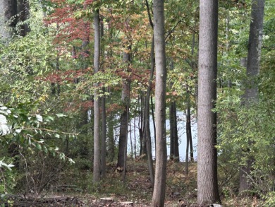 Waterfront Lot on Lake of the Clouds in Canadian Lakes!! on Canadian Lakes Country Club-The Highlands Course in Michigan - for sale on GolfHomes.com, golf home, golf lot