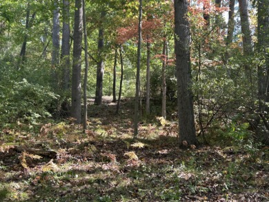 Waterfront Lot on Lake of the Clouds in Canadian Lakes!! on Canadian Lakes Country Club-The Highlands Course in Michigan - for sale on GolfHomes.com, golf home, golf lot