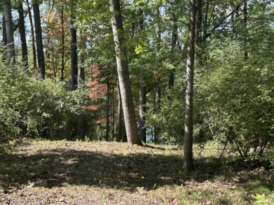 Waterfront Lot on Lake of the Clouds in Canadian Lakes!! on Canadian Lakes Country Club-The Highlands Course in Michigan - for sale on GolfHomes.com, golf home, golf lot