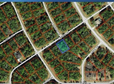 Welcome to Citrus Springs, one of the fastest-growing on Citrus Springs Country Club in Florida - for sale on GolfHomes.com, golf home, golf lot
