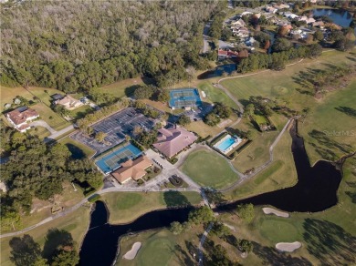 Country Style living in the heart of Horizon / Summerport.  No on West Orange Country Club in Florida - for sale on GolfHomes.com, golf home, golf lot