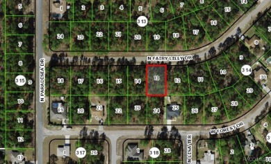 Buildable lot in Citrus Springs offering an excellent on Pine Ridge Community Golf and Country Club in Florida - for sale on GolfHomes.com, golf home, golf lot