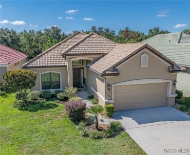 THIS HOME IS VALUE YOU CAN'T AFFORD TO MISS! Terra Vista - on Skyview At Terra Vista Golf and Country Club in Florida - for sale on GolfHomes.com, golf home, golf lot