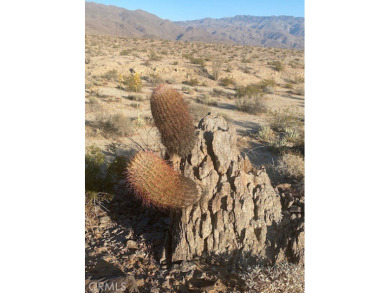 This 0.91 acre parcel (39,640 sqft.), located on Borrego Springs on Rams Hill Golf Club in California - for sale on GolfHomes.com, golf home, golf lot