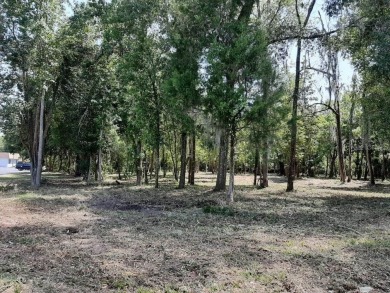 Discover a rare and valuable investment opportunity in the heart on The Golf Club of Ocala in Florida - for sale on GolfHomes.com, golf home, golf lot