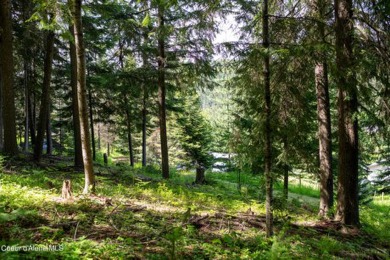 Here is your opportunity for a great residential lot on the edge on The Pinehurst Golf Course in Idaho - for sale on GolfHomes.com, golf home, golf lot