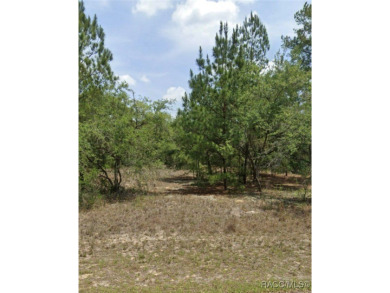 Build Your Dream Home in Citrus Springs! Located in the heart of on Pine Ridge Community Golf and Country Club in Florida - for sale on GolfHomes.com, golf home, golf lot