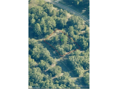 Build Your Dream Home in Citrus Springs! Located in the heart of on Pine Ridge Community Golf and Country Club in Florida - for sale on GolfHomes.com, golf home, golf lot
