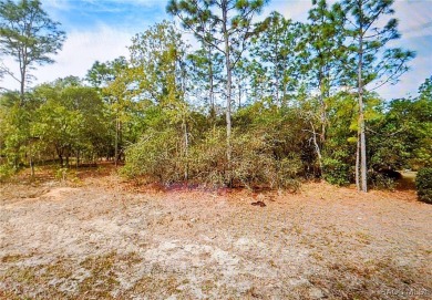 Wooded .28 acre parcel located in a cul-de-sac in Sugarmill on Sugarmill Woods Golf and Country Club in Florida - for sale on GolfHomes.com, golf home, golf lot