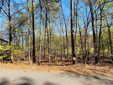 The views from this golf course lot are unmatched! Come build on Cortez Golf Course in Arkansas - for sale on GolfHomes.com, golf home, golf lot