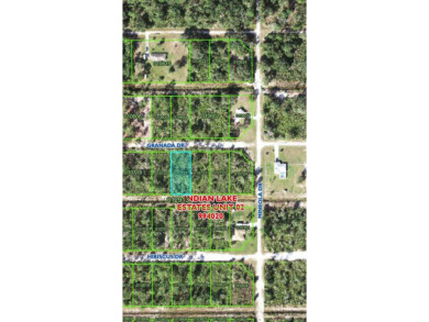 Here you have found your perfect piece of paradise to build your on Indian Lake Estates Golf and Country Club in Florida - for sale on GolfHomes.com, golf home, golf lot