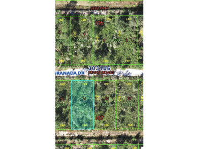 Here you have found your perfect piece of paradise to build your on Indian Lake Estates Golf and Country Club in Florida - for sale on GolfHomes.com, golf home, golf lot