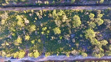 Here you have found your perfect piece of paradise to build your on Indian Lake Estates Golf and Country Club in Florida - for sale on GolfHomes.com, golf home, golf lot