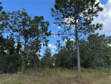 Hello future homesite! Located in the sought after community of on Pine Ridge Community Golf and Country Club in Florida - for sale on GolfHomes.com, golf home, golf lot