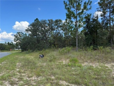 Hello future homesite! Located in the sought after community of on Pine Ridge Community Golf and Country Club in Florida - for sale on GolfHomes.com, golf home, golf lot