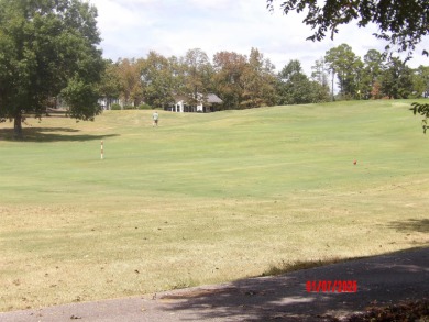 LOVELY 3 BEDROOM 2 BATH CUSTOM HOME ON THE 16TH HOLE OF CORONADO on Coronado Golf Course in Arkansas - for sale on GolfHomes.com, golf home, golf lot