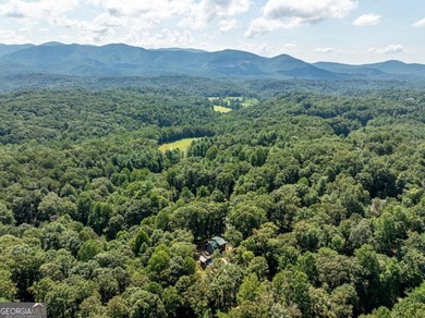 Come home to this impeccably maintained 3 BR/3 BA mountain cabin on White Path Golf Club in Georgia - for sale on GolfHomes.com, golf home, golf lot