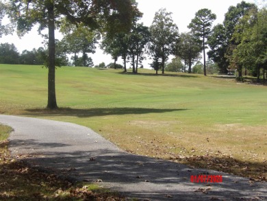 LOVELY 3 BEDROOM 2 BATH CUSTOM HOME ON THE 16TH HOLE OF CORONADO on Coronado Golf Course in Arkansas - for sale on GolfHomes.com, golf home, golf lot