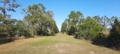 Come build your forever home on this one-half acre lot that on Indian Lake Estates Golf and Country Club in Florida - for sale on GolfHomes.com, golf home, golf lot