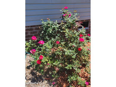 Custom home on huge lot with NO HOA and water view of Paradise on The Lakes Country Club in North Carolina - for sale on GolfHomes.com, golf home, golf lot