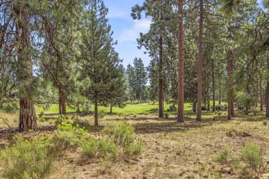 Excellent buildable view golf course lot. Don't let this golf on Running Y Ranch Resort in Oregon - for sale on GolfHomes.com, golf home, golf lot
