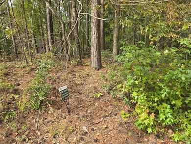 GULF COURSE VIEW located in the Tara Section of Savannah Lake on Monticello Golf Club At Savannah Lakes in South Carolina - for sale on GolfHomes.com, golf home, golf lot
