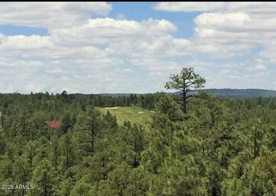 Premier golf course lot on the picturesque Sage street located on Bison Golf and Country Club in Arizona - for sale on GolfHomes.com, golf home, golf lot