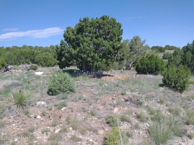 Beautiful 1.04 acre lot located on Navajo Dr. in Concho Valley on Concho Valley Country Club in Arizona - for sale on GolfHomes.com, golf home, golf lot