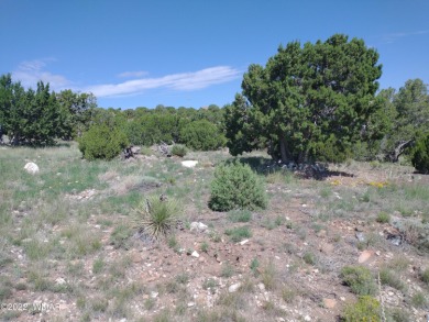 Beautiful 1.04 acre lot located on Navajo Dr. in Concho Valley on Concho Valley Country Club in Arizona - for sale on GolfHomes.com, golf home, golf lot