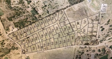 DEVELOPER NEEDED for this PLAT-APPROVED subdivision in Somervell on Squaw Valley Golf Course in Texas - for sale on GolfHomes.com, golf home, golf lot