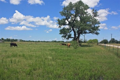 DEVELOPER NEEDED for this PLAT-APPROVED subdivision in Somervell on Squaw Valley Golf Course in Texas - for sale on GolfHomes.com, golf home, golf lot